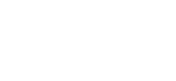 سیکیور پے partner logo