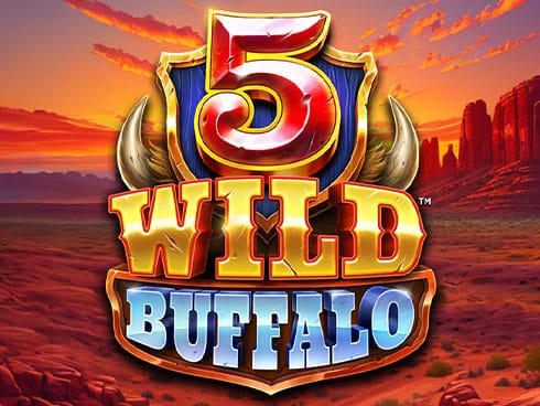 5 وائلڈ بفیلو game cover